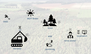 Grafik stellt Navigation im Wald dar