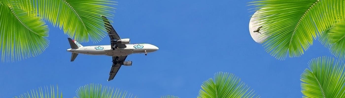 Ein Flugzeug am blauen Himmel umringt von Palmenblättern.