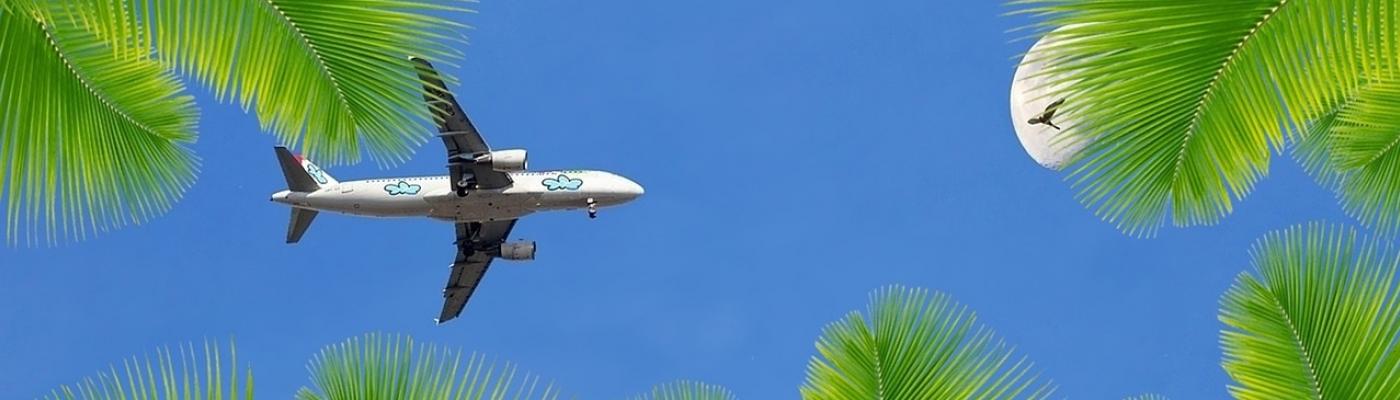 An aeroplane in the blue sky surrounded by palm leaves.